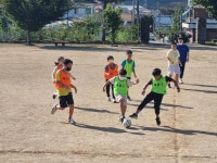 [자][타][공] 갤러리<연구학교<백운초등학교 백운초등학교