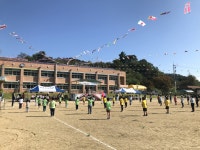 교육앨범<교육활동앨범<세성소식<세성초등학교 세성초등학교