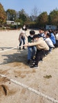 쌍봉앨범