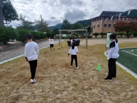 학교앨범