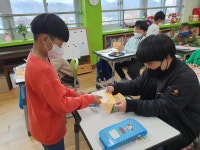 안내앨범<학교소식<안내초등학교 안내초등학교
