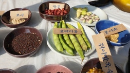 꽃갤러리<꽃소식<꽃동네학교 꽃동네학교