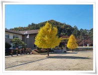 학교 둘러보기<학교소개<문광초등학교 문광초등학교