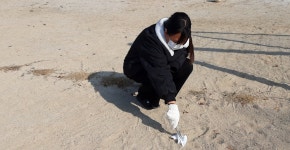 자유게시판<열린광장<송면초등학교 송면초등학교