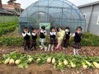 탄금앨범<탄금소식<탄금유치원 탄금유치원