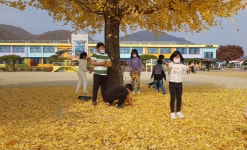 교육활동<학교소식<원남초등학교 원남초등학교