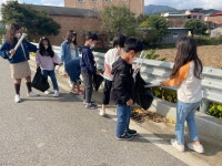 연구학교 활동 앨범<연구학교<용원초등학교 용원초등학교