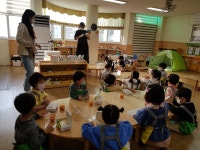 유치원 앨범<동광유치원<동광초등학교 동광초등학교