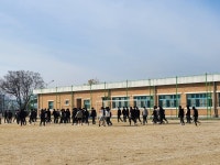 여명앨범