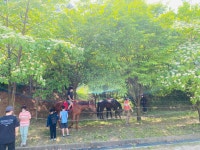 힐링승마<방과후학교<방과후학교<수안보초등학교 수안보초등학교