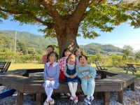 유치원 앨범<병설유치원<소태초등학교 소태초등학교