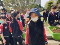학교앨범