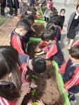 학교앨범<열린마당<청주교육대학교부설초등학교 청주교육대학교부설초등학교