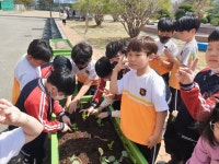 학교앨범<열린마당<청주교육대학교부설초등학교 청주교육대학교부설초등학교