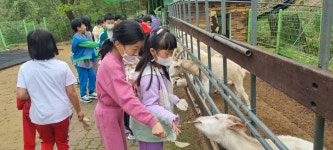 교육활동사진<남산교육활동<충주남산초등학교 충주남산초등학교