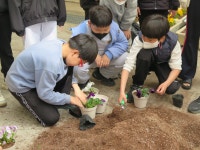 회인앨범<회인소식<회인초등학교 회인초등학교