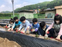 학교앨범<남이소식<남이초등학교 남이초등학교