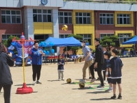 수한앨범<수한소식<수한초등학교 수한초등학교