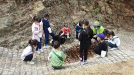교육활동<학교소식<원남초등학교 원남초등학교