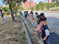 함께 GREEN 탄소중립 갤러리<탄소중립 실천 연구학교<청주교육대학교부설초등학교 청주교육대학교부설초등학교
