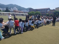 교육활동사진<남산교육활동<충주남산초등학교 충주남산초등학교