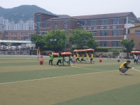 교육활동사진<남산교육활동<충주남산초등학교 충주남산초등학교