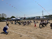 사진갤러리<알림마당<동화초등학교 동화초등학교