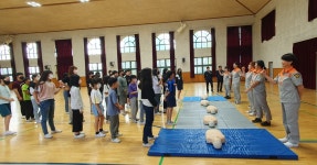 학교앨범<알림마당<이월초등학교 이월초등학교
