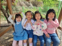 교육앨범<교육활동앨범<세성소식<세성초등학교 세성초등학교