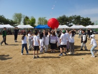 포토앨범<학교앨범<교육활동<신백초등학교 신백초등학교