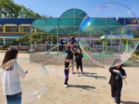 학교앨범<알림마당<탄부초등학교 탄부초등학교
