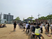 학교앨범<교육활동<용두초등학교 용두초등학교