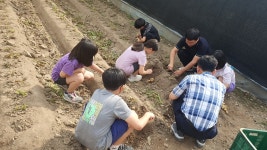 세중앨범<소식마당<세중초등학교 세중초등학교