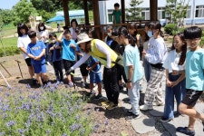 학교앨범<알림마당<석성초등학교 석성초등학교