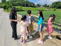 쌍봉앨범<학교소식<쌍봉초등학교 쌍봉초등학교