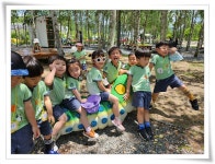 탄금앨범<탄금소식<탄금유치원 탄금유치원