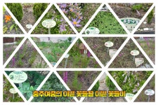 숲사진전<환경교육<교수학습센터<충주여자중학교 충주여자중학교