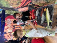 행사앨범<병설유치원<성화초등학교 성화초등학교