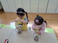 행사앨범<병설유치원<성화초등학교 성화초등학교