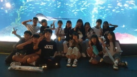 행사앨범<학교소식<하당초등학교 하당초등학교