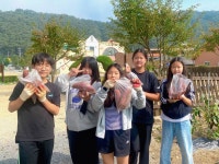오늘의 학교급식<급식 자료실<영양 소식<열린마당<매포초등학교 매포초등학교
