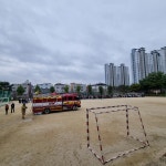 학교앨범