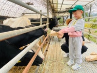 전체앨범<유치원<봉명초등학교 봉명초등학교