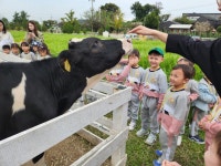 전체앨범<유치원<봉명초등학교 봉명초등학교