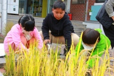 학교사진앨범<학교소식<대가초등학교 대가초등학교