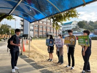 학교앨범