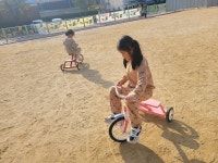 내수앨범<알림마당<병설유치원<내수초등학교 내수초등학교