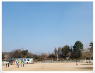 교육활동앨범<수회교육소식<수회초등학교 수회초등학교