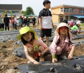 행사갤러리<행사갤러리<학교소식<북일초등학교 북일초등학교