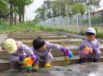 행사갤러리<행사갤러리<학교소식<북일초등학교 북일초등학교